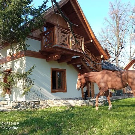 Gniazdo W Parku Ξενοδοχείο Wasniow Εξωτερικό φωτογραφία